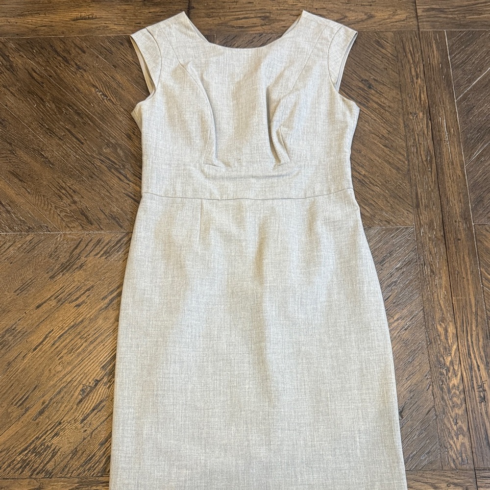 The Limited Light Gray Dress - Size 8P